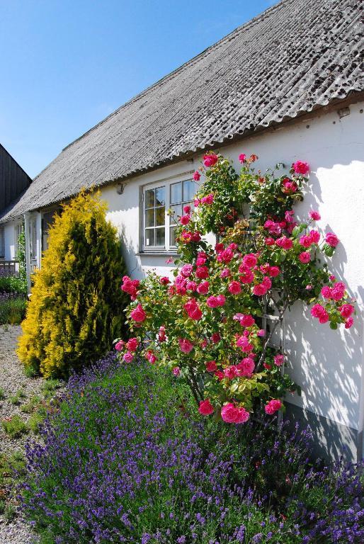Sodergarda Ostra Bed & Breakfast Hammenhög Екстериор снимка